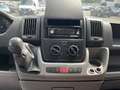 Fiat Ducato 30 2.3 MJT Trasporto Cavalli Bleu - thumbnail 19