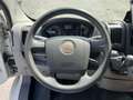 Fiat Ducato 30 2.3 MJT Trasporto Cavalli Bleu - thumbnail 21