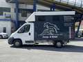Fiat Ducato 30 2.3 MJT Trasporto Cavalli Bleu - thumbnail 2
