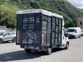 Fiat Ducato 30 2.3 MJT Trasporto Cavalli Bleu - thumbnail 5