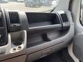 Fiat Ducato 30 2.3 MJT Trasporto Cavalli Bleu - thumbnail 26