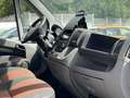 Fiat Ducato 30 2.3 MJT Trasporto Cavalli Bleu - thumbnail 29