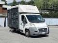 Fiat Ducato 30 2.3 MJT Trasporto Cavalli Bleu - thumbnail 8