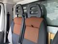 Fiat Ducato 30 2.3 MJT Trasporto Cavalli Bleu - thumbnail 27