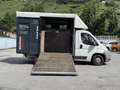 Fiat Ducato 30 2.3 MJT Trasporto Cavalli Blu/Azzurro - thumbnail 7