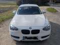 BMW 116 1er (5-Türer) 116i Bílá - thumbnail 4