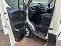 Iveco Daily 40C16 8.7 ton Be-trekker 6600 kg trekgewicht Autom Blanc - thumbnail 5