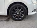 Skoda Fabia Fabia 1.0 TSI Twin Color Nero Weiß - thumbnail 10