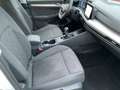 Volkswagen Golf VIII 1.5 TSI LIFE LED+ACC+AHK+NAVI+SHZ+RFK Weiß - thumbnail 12