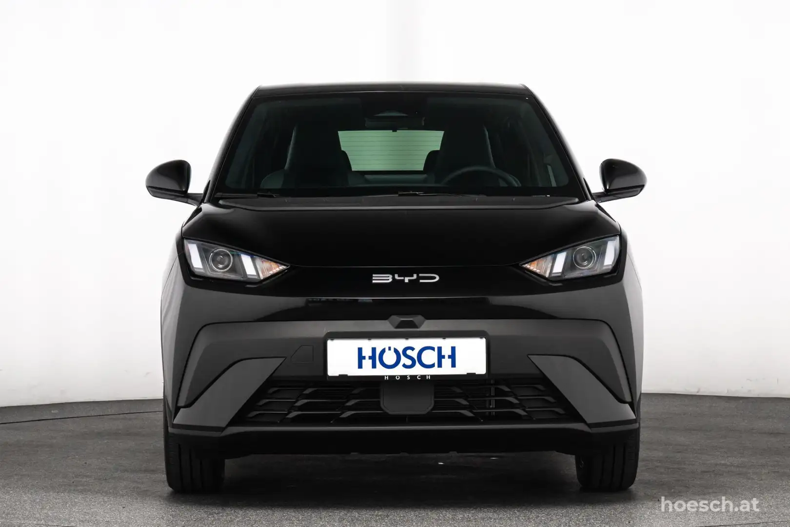 BYD Dolphin Surf BOOST 43 kWh LEDER KAMERA ASSISTENZ Schwarz - 2