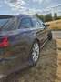 Audi A6 allroad A6 allroad quattro 3.0 TDI S tronic DPF Braun - thumbnail 6