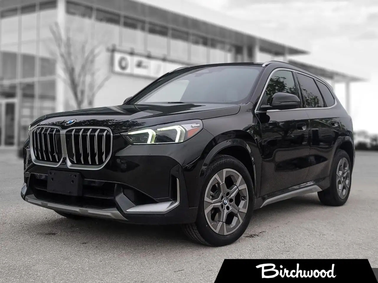 2025 BMW X1