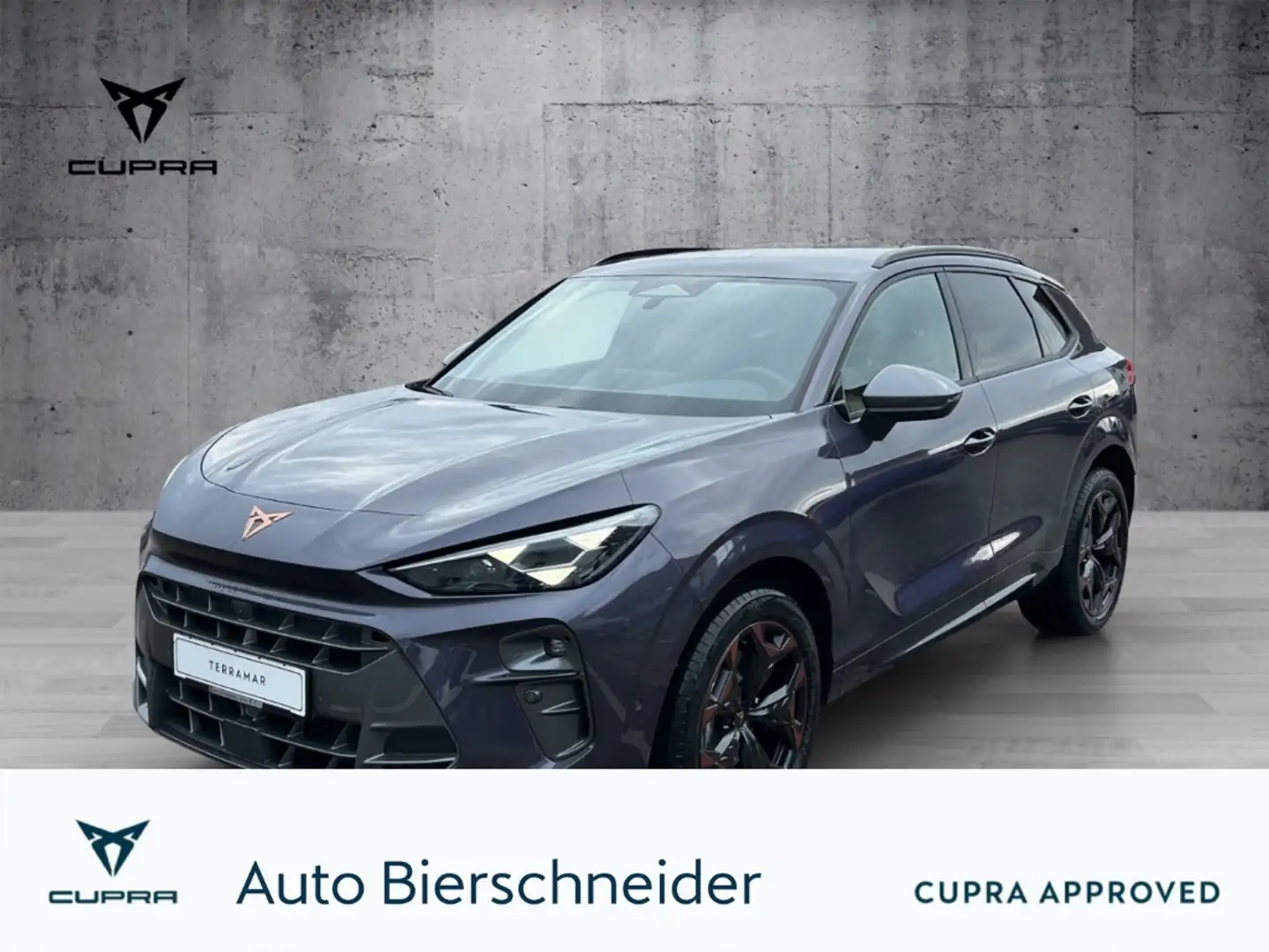 CUPRA Terramar 2.0 TSI 4Drive DSG ab 269,- EUR mtl. 19 | HD-MATRI Violett - 1
