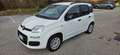 Fiat New Panda 1.2 Weiß - thumbnail 8