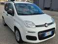 Fiat New Panda 1.2 Weiß - thumbnail 1
