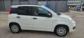 Fiat New Panda 1.2 Weiß - thumbnail 9