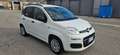 Fiat New Panda 1.2 Weiß - thumbnail 13