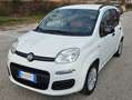 Fiat New Panda 1.2 Weiß - thumbnail 2