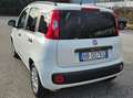 Fiat New Panda 1.2 Weiß - thumbnail 11