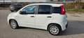 Fiat New Panda 1.2 Weiß - thumbnail 12