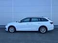 Skoda Octavia Combi 2,0 TDI Ambition **GARANTIE**PICKERL NEU** Weiß - thumbnail 10
