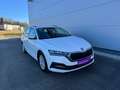 Skoda Octavia Combi 2,0 TDI Ambition **GARANTIE**PICKERL NEU** Weiß - thumbnail 11