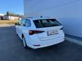 Skoda Octavia Combi 2,0 TDI Ambition **GARANTIE**PICKERL NEU** Weiß - thumbnail 5