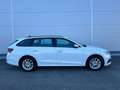 Skoda Octavia Combi 2,0 TDI Ambition **GARANTIE**PICKERL NEU** Weiß - thumbnail 14