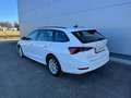 Skoda Octavia Combi 2,0 TDI Ambition **GARANTIE**PICKERL NEU** Weiß - thumbnail 4