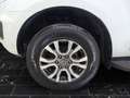 Ford Ranger Wildtrak Doppelkabine 4x4 Bluetooth Navi Weiß - thumbnail 15