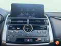 Lexus NX 300h 2.5 Premium 2WD Gris - thumbnail 20
