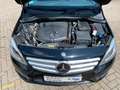 Mercedes-Benz B 200 CDI 7G-DCT BI-XENON|AHK|TEMPOMAT|SITZH. Negro - thumbnail 30