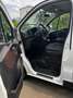 Fiat Talento Talento Panorama 3,0t 2,0 EcoJet 145 L2H1 Executive Executive Weiß - thumbnail 5
