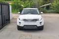 Land Rover Range Rover Evoque Range Rover Evoque 2.2 TD4 5p. Dynamic Bianco - thumbnail 2