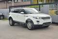 Land Rover Range Rover Evoque Range Rover Evoque 2.2 TD4 5p. Dynamic Bianco - thumbnail 3