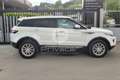 Land Rover Range Rover Evoque Range Rover Evoque 2.2 TD4 5p. Dynamic Bianco - thumbnail 4