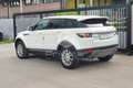 Land Rover Range Rover Evoque Range Rover Evoque 2.2 TD4 5p. Dynamic Bianco - thumbnail 7