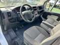 Peugeot Boxer 335 L3H2 2.2 HDi 130ch335 L3H2 (9.990 HT) Motricité renforcée 2.2 HDi 130ch Weiß - thumbnail 17