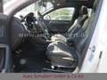 Audi Q3 Sportback 40 TFSI quattro S line S-tronic Weiß - thumbnail 5