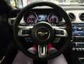 Ford Mustang 2.3 ECOBOOST 317CV_COLORE UNICO_SCARICO_GAR12 MESI Grau - thumbnail 12