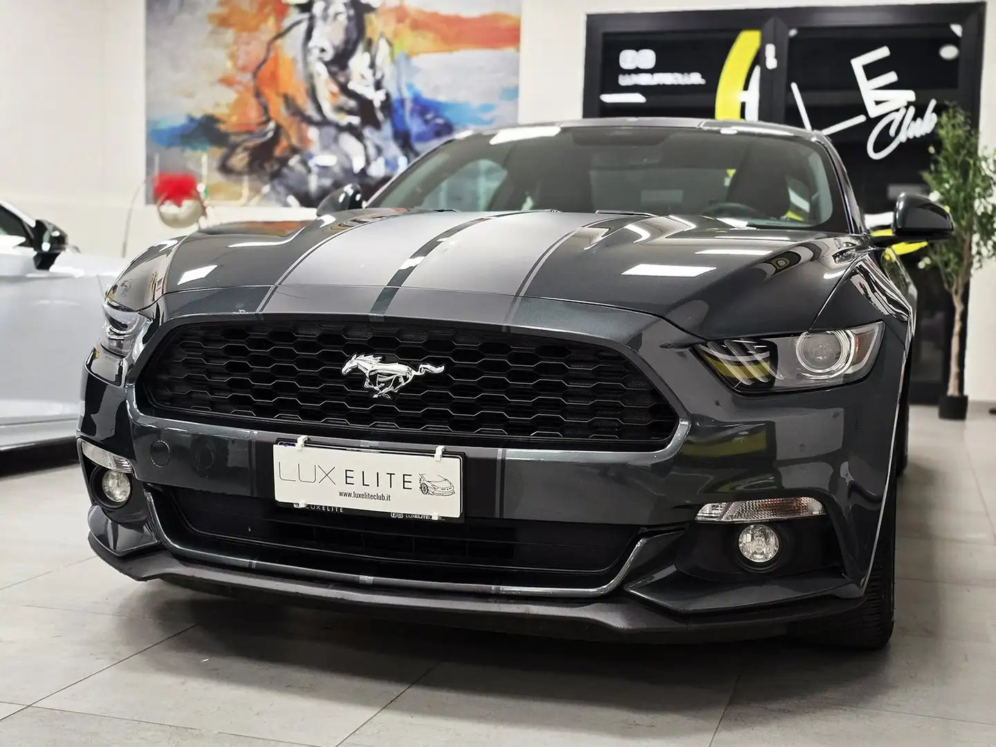 Ford Mustang 2.3 ECOBOOST 317CV_COLORE UNICO_SCARICO_GAR12 MESI Grau - 1