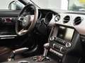 Ford Mustang 2.3 ECOBOOST 317CV_COLORE UNICO_SCARICO_GAR12 MESI Grau - thumbnail 18