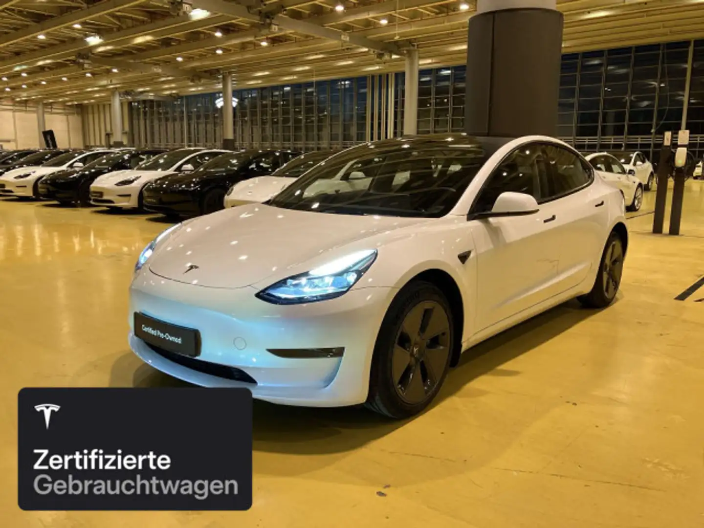 Tesla Model 3 Long Range RWD Blanc - 2