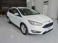 Ford Focus SW 1.5 tdci Plus s Bianco - thumbnail 3