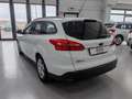 Ford Focus SW 1.5 tdci Plus s Bianco - thumbnail 7