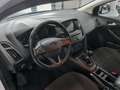 Ford Focus SW 1.5 tdci Plus s Bianco - thumbnail 10