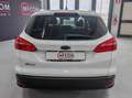 Ford Focus SW 1.5 tdci Plus s Bianco - thumbnail 6