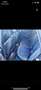 BMW 218 218iA Gran Coupé M Sport - thumbnail 9