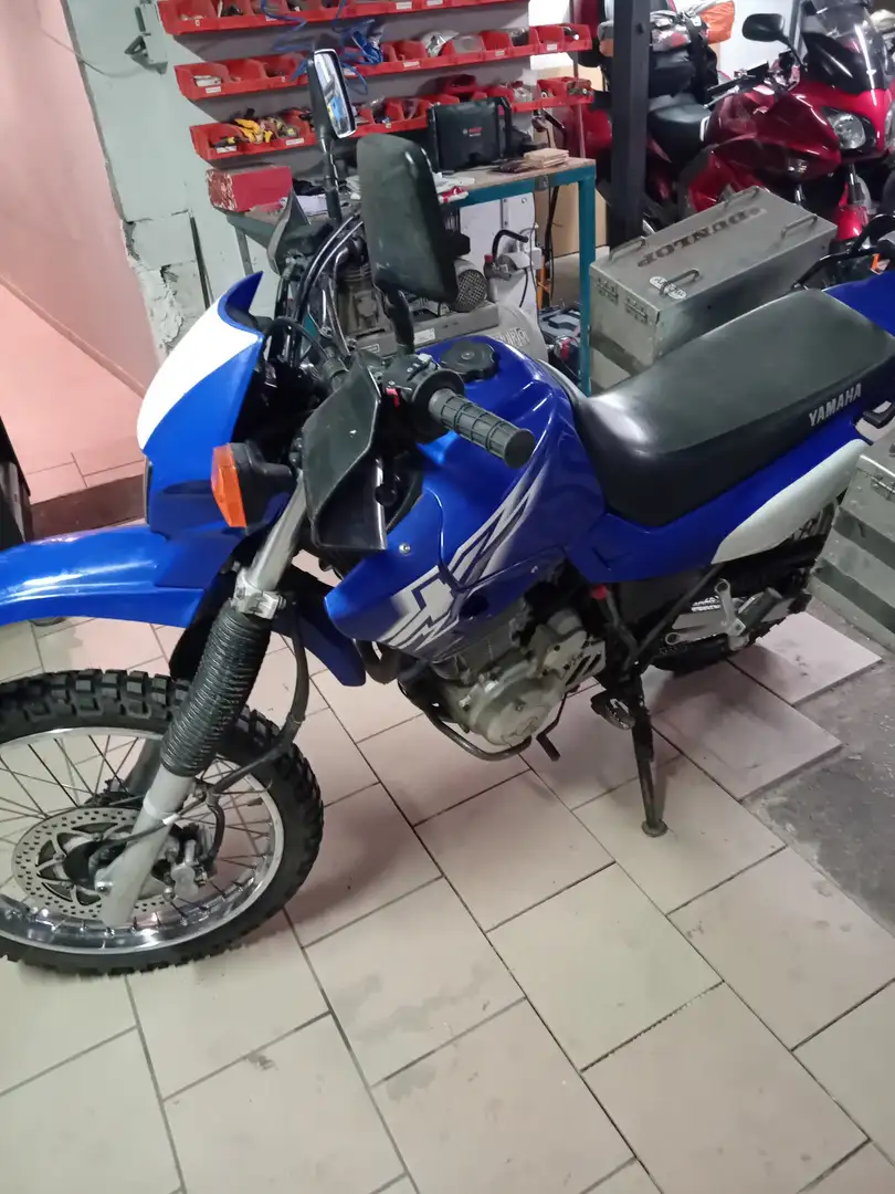 Yamaha XT 600 Bleu - 2