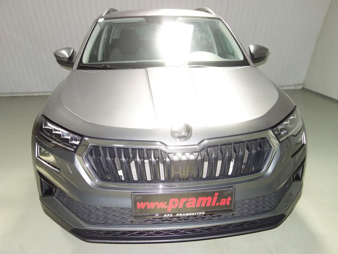 Skoda Karoq Skoda Karoq Style TDI DSG Grau - 1